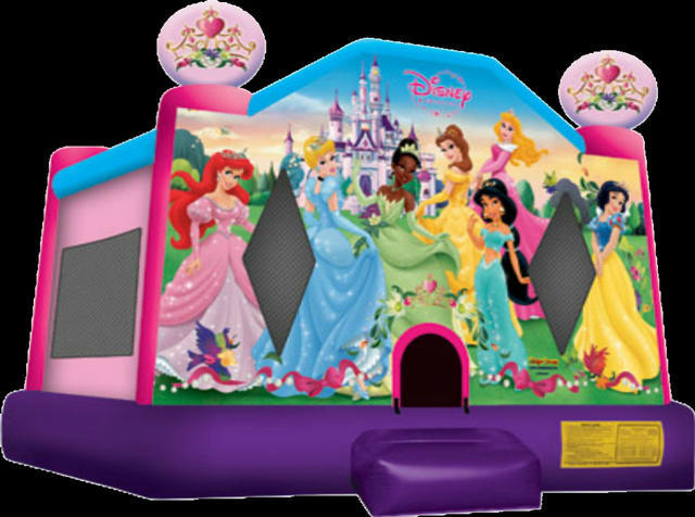 Disney Princess Disney Princess